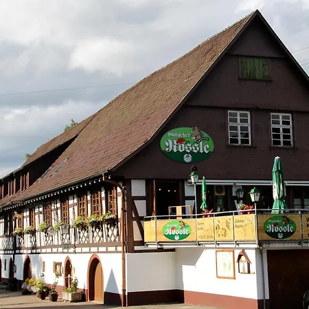 Gutacher Rossle Gutach im Breisgau